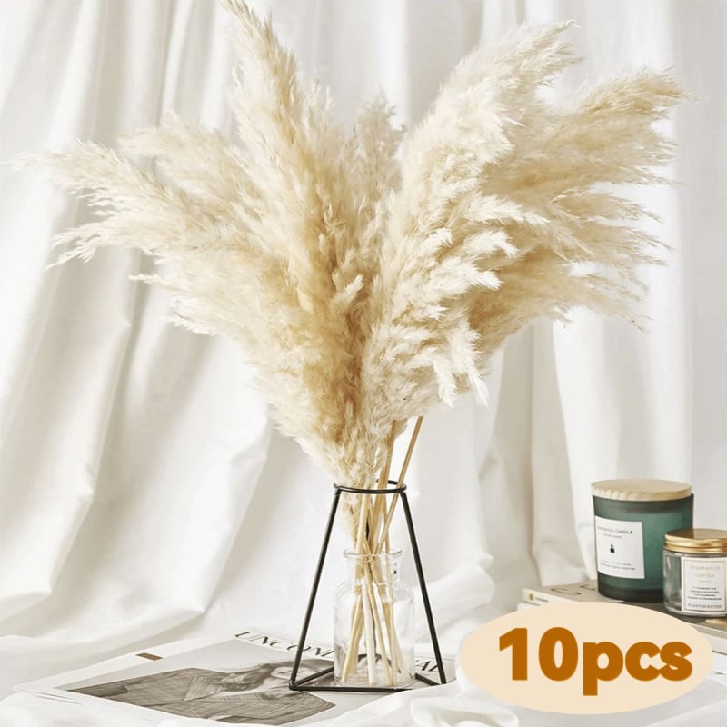 Sušená pampasová tráva buket, bulrush odroda, Diancaofang, na svadobné a domáce dekorácie
