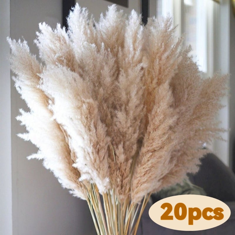 Sušená pampasová tráva buket, bulrush odroda, Diancaofang, na svadobné a domáce dekorácie