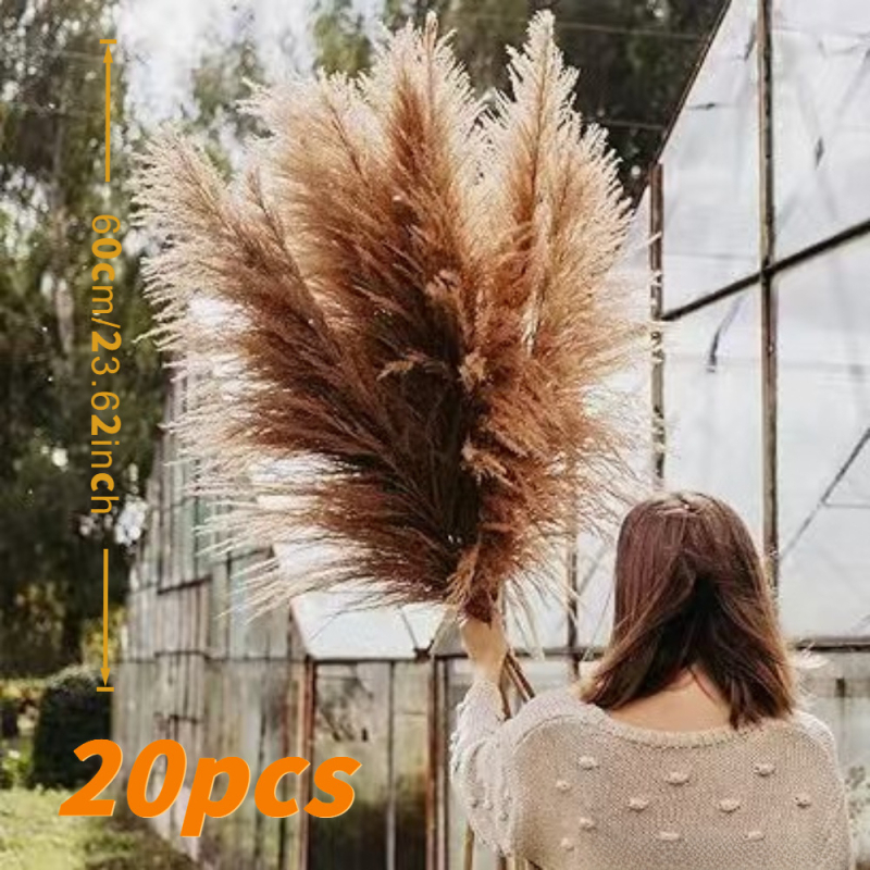Sušená pampasová tráva buket, bulrush odroda, Diancaofang, na svadobné a domáce dekorácie