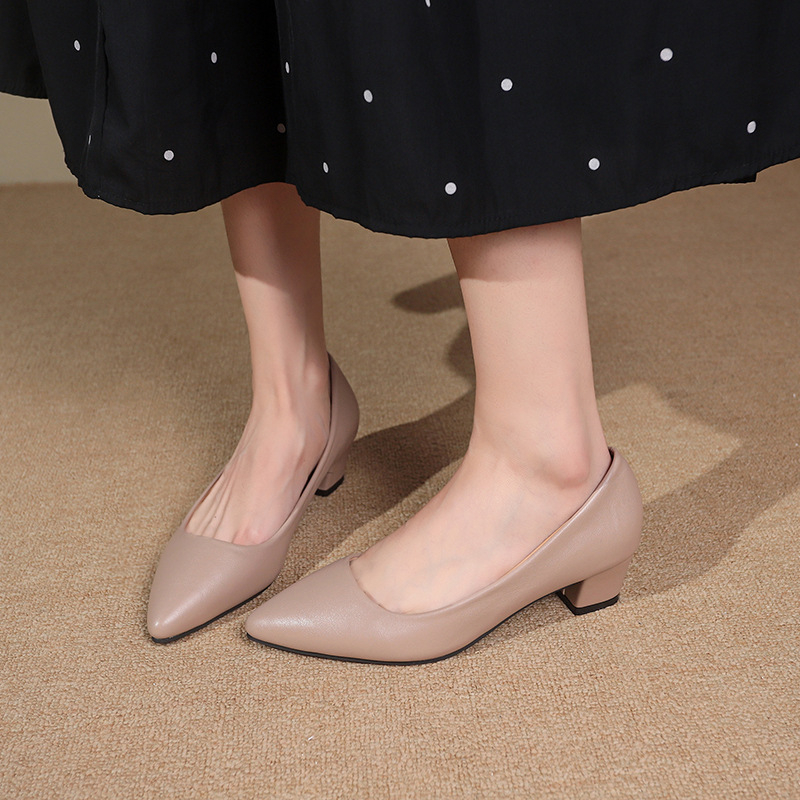 Pantofi Mary Jane pentru femei cu toc mediu – vârf ascuțit, PU, toc gros 3–6 cm, slip-on