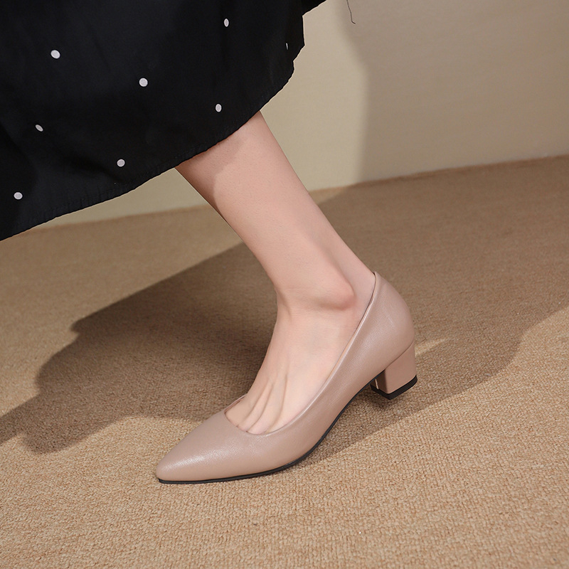 Pantofi Mary Jane pentru femei cu toc mediu – vârf ascuțit, PU, toc gros 3–6 cm, slip-on