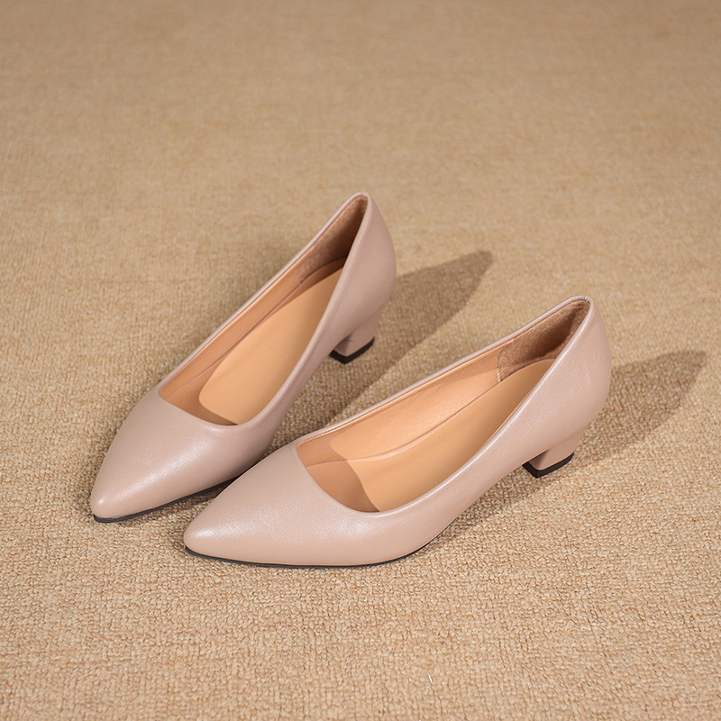 Pantofi Mary Jane pentru femei cu toc mediu – vârf ascuțit, PU, toc gros 3–6 cm, slip-on