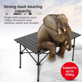 Egg Roll Table — Lauko sulankstomas ilgas stalas kempingui ir kepsninėms, iš anglies plieno, sulankstomas, Egg Roll stilius