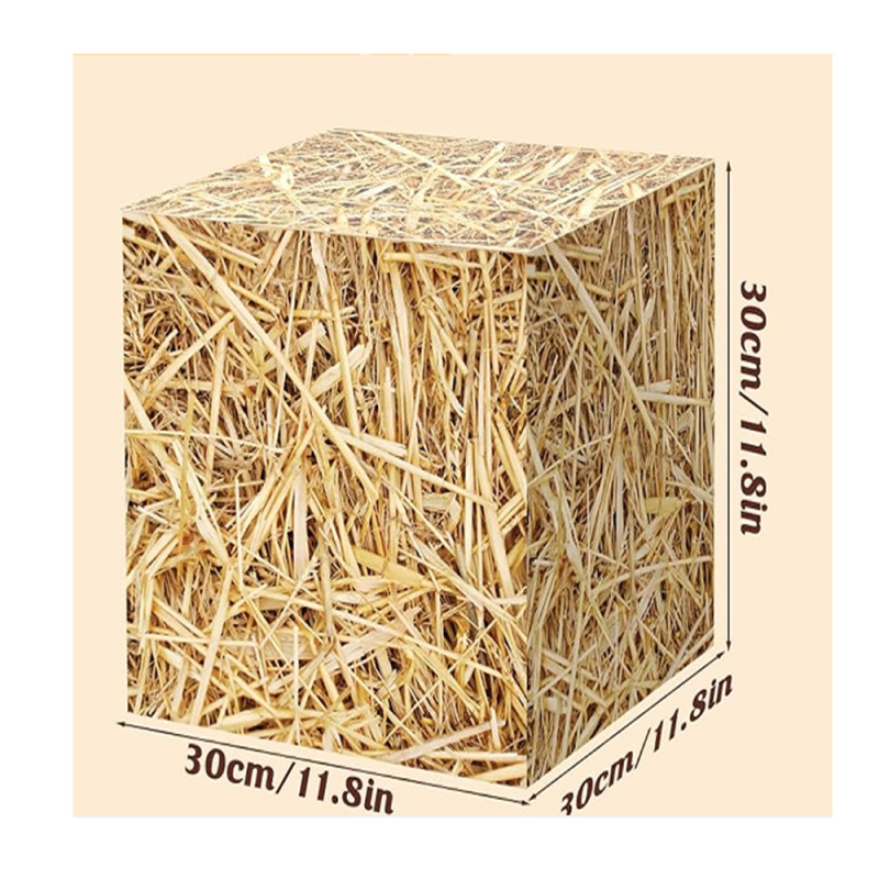 Dekoratívna kartónová krabička na westernovú párty, papierový rekvizit k fotografovaniu, darček pre deti