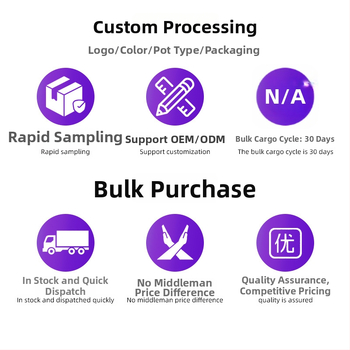Prispôsobený liatinový holandský hrniec na kemping – izolácia, objem 3.1–4 L, hmotnosť 8.5 kg, liatinový poklop