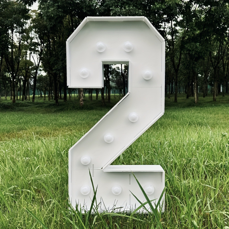 Svetelný rámček na balóniky so hodvábnymi kvetmi pre výzdobu podujatí