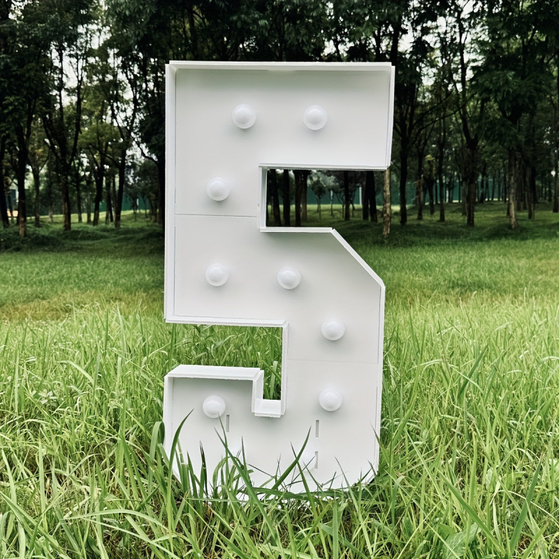 Svetelný rámček na balóniky so hodvábnymi kvetmi pre výzdobu podujatí