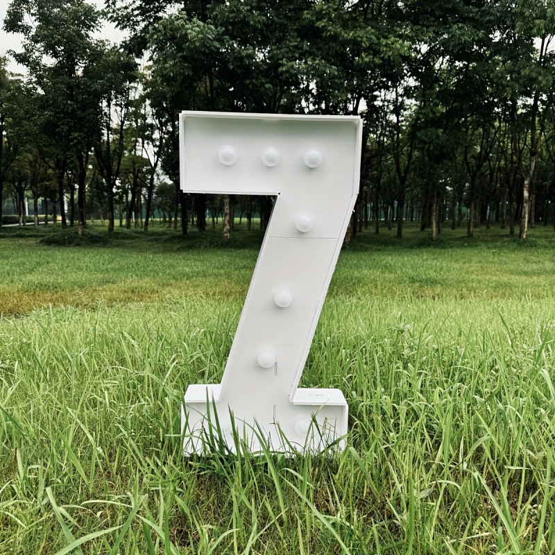 Svetelný rámček na balóniky so hodvábnymi kvetmi pre výzdobu podujatí