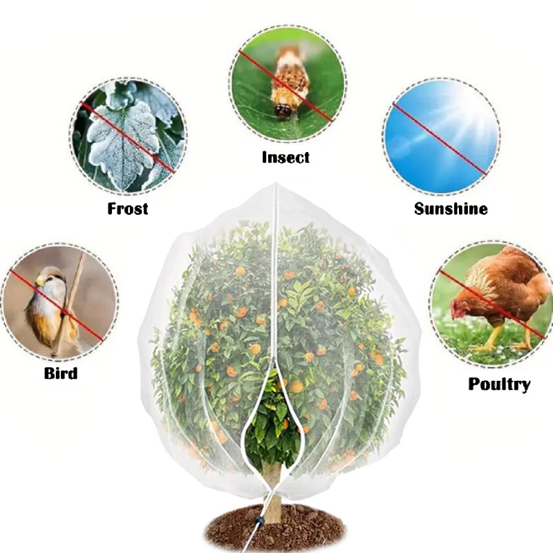 Κάλυμμα Δικτύου Εντόμων για Φυτά – Πολυαιθυλένιο, Αποτροπή εντόμων και πτηνών για Λαχανικά και Δέντρα Φρούτων, Huizhe