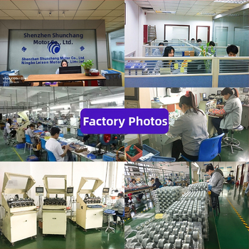 Mikro krokový motor BJ1505BGR, 12 V, 0,075 A, 150 ot/min, 86,24 mN·m