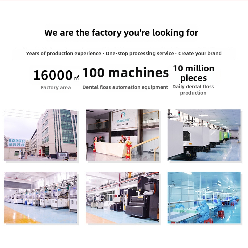 Dental floss pick – Pretty Magician, vienkartiniai, PS rankena, aukšto molekulinio svorio polietilenos siūlas, 100–200 vnt./pakuotė, 150 dėžučių pakuotės