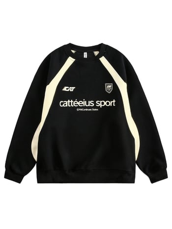 Pulover cu aplicații de litere în stil american, guler rotund, croială lejeră, mâneci lungi, bumbac 60% / poliester 40%.