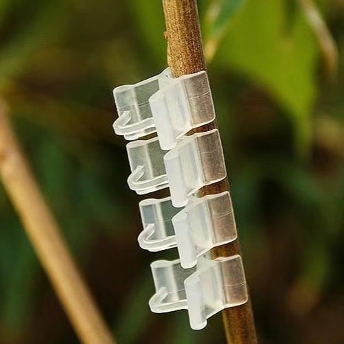 Klip za cijepljenje biljaka, plastični PP materijal, za cijepljenje rajčica