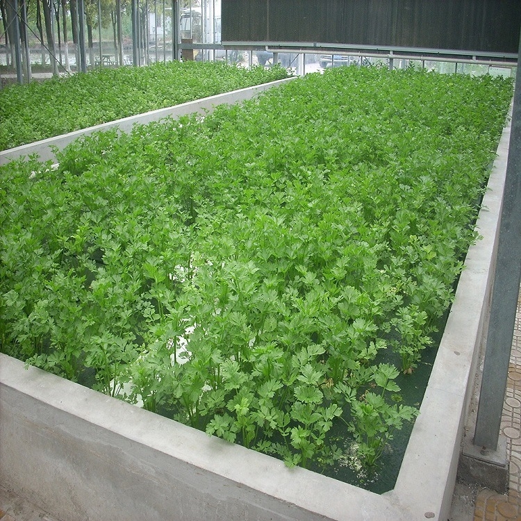 Hydroponická plávajúca doska na pestovanie zeleniny vo vode, s dierami, PE materiál