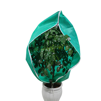 Sac de plantare din plastic – protecție împotriva înghețului pentru pomi fructiferi