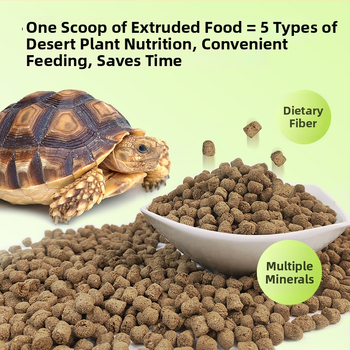 Vysoko vláknité krmivo pre korytnačku Sulcata, diéta púšť a dažďový prales