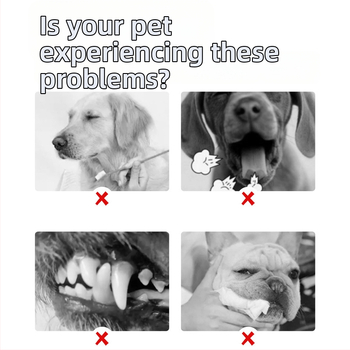 Pushino ústna voda na osvieženie dychu, tekutá, všeobecné použitie