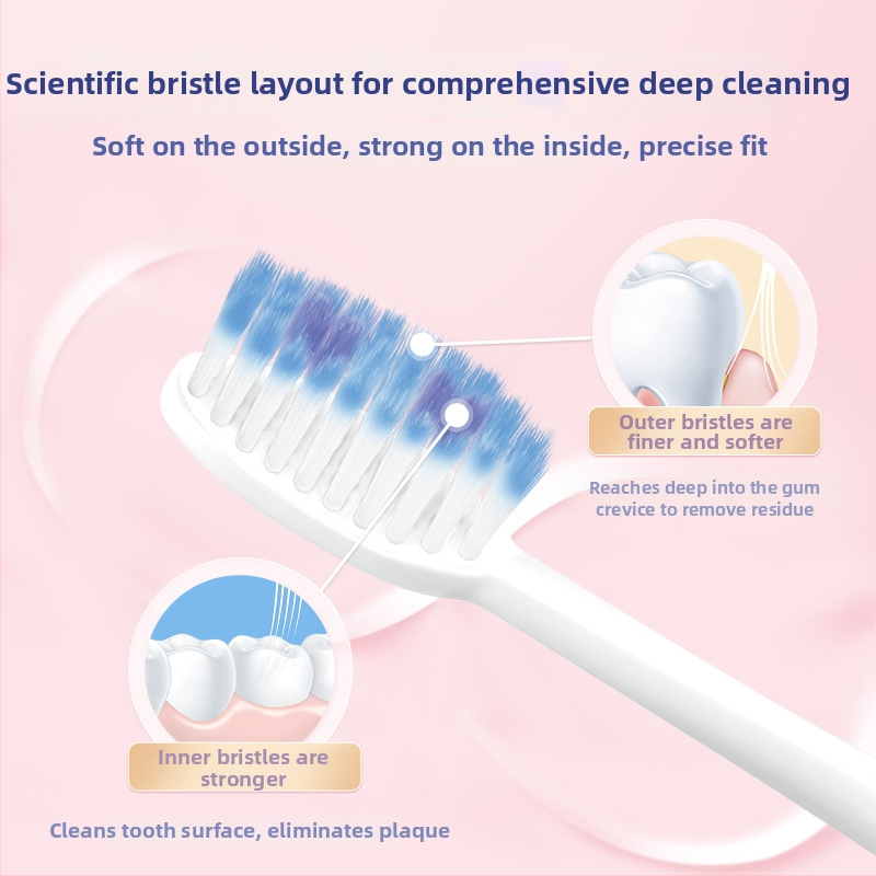 Lion dantų šepetėlis suaugusiems, rankinis, itin švarus valymas, dantenų apsauga, minkšti šereliai, vienpaketinė pakuotė, dėžėje 48 vnt.