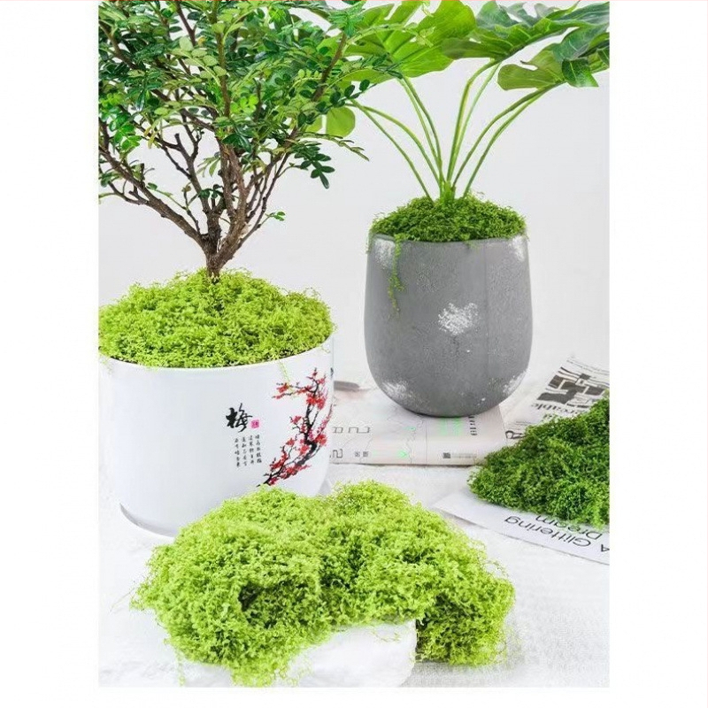 Umelý mach mikroland dekor pre vnútorné aj vonkajšie použitie; Materiál: sušené kvety; Druh: 27432; Remeslo: iné; Značka: iný