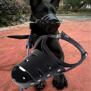 Bőr kutyamutli kistestű kutyák és Dobermann számára – harapásvédelmi készlet