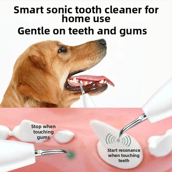 Ultrazvukový čistič zubov pre domáce zvieratá - ABS+316 nerezová oceľ, odstraňuje zubný kameň, bieli zuby, odstraňuje škvrny, starostlivosť o ďasná