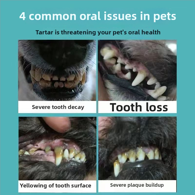 Ultrazvukový čistič zubov pre domáce zvieratá - ABS+316 nerezová oceľ, odstraňuje zubný kameň, bieli zuby, odstraňuje škvrny, starostlivosť o ďasná