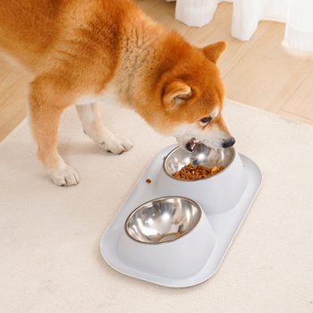 Anti-leak bol dublu pentru animale de companie - oțel inoxidabil, pentru pisică, 350 g, origine Zhejiang