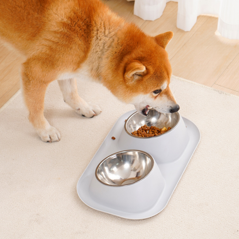 Anti-leak bol dublu pentru animale de companie - oțel inoxidabil, pentru pisică, 350 g, origine Zhejiang