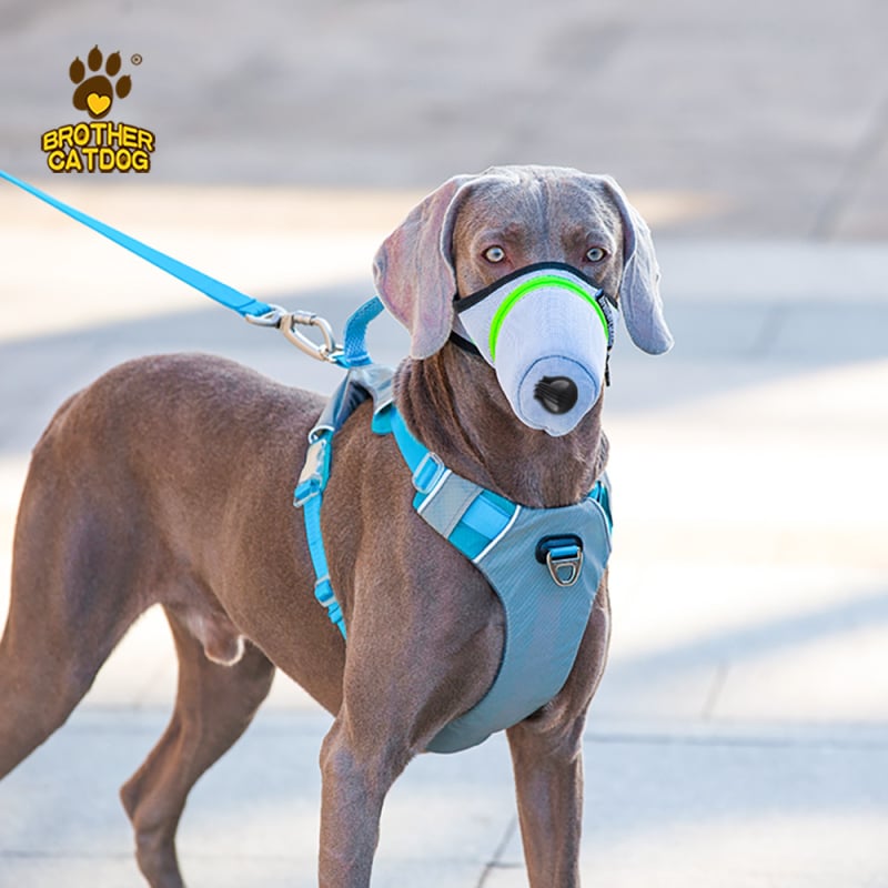 Maska za pas s ventilom za disanje, protiv zamagljivanja i prašine, prozračna maska od poliestera