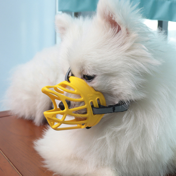 Koerte muzzel, Chuangjie bränd, TPR ja helkurrihmaga, rahvusvaheline ekspordi toetus