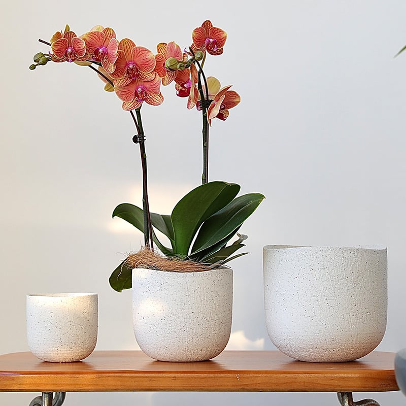 Kvetináč, keramický, nordický štýl, dýchajúci, odolný voči korózii, na stolné použitie