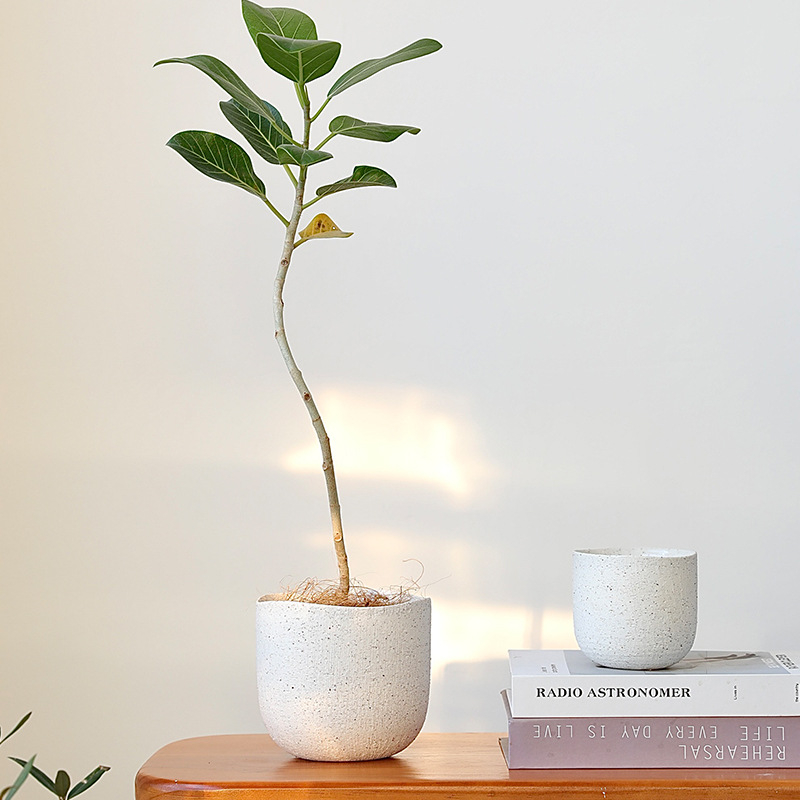 Kvetináč, keramický, nordický štýl, dýchajúci, odolný voči korózii, na stolné použitie