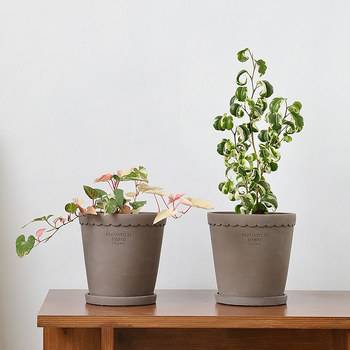 Cementový kvetináč, nordický štýl, ručne vyrobený, dýchajúci, odolný voči korózii, s podnosom