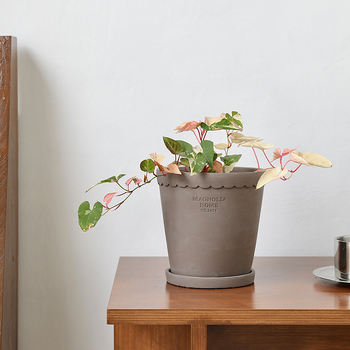 Cementový kvetináč, nordický štýl, ručne vyrobený, dýchajúci, odolný voči korózii, s podnosom