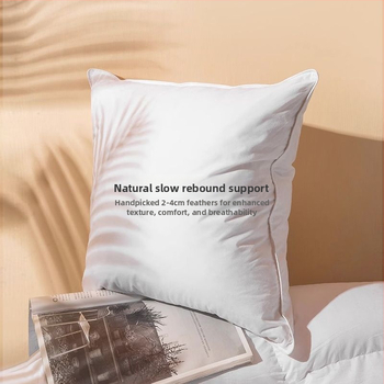 Padja sisemise tuumaga selja ja vöötoe toe jaoks, ančių pūkų täidis, puuvillane kate, ühetooniline, tänapäevane minimalistlik stiil