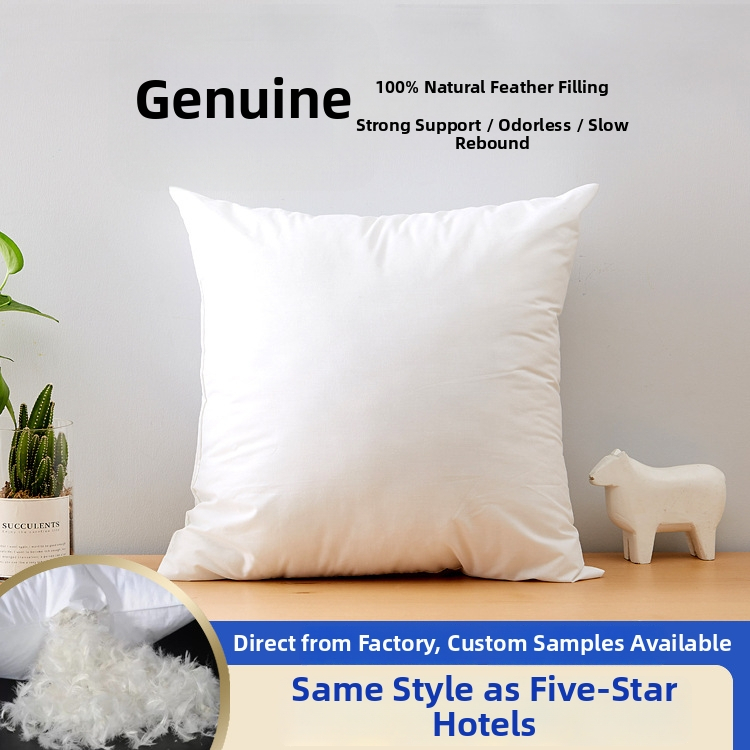 Padja sisemise tuumaga selja ja vöötoe toe jaoks, ančių pūkų täidis, puuvillane kate, ühetooniline, tänapäevane minimalistlik stiil