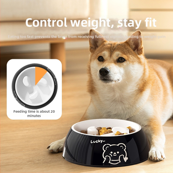 Μπολ σκύλου για αργό φαγητό από μελαμίνη, μάρκα Hippie dog, εξοπλισμός ταΐσμού κατοικίδιων, με αντιανατροπή