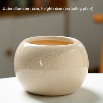 Keramický kvetináč na sukulenty, na podlahu, jednoduchý štýl, domáca záhrada