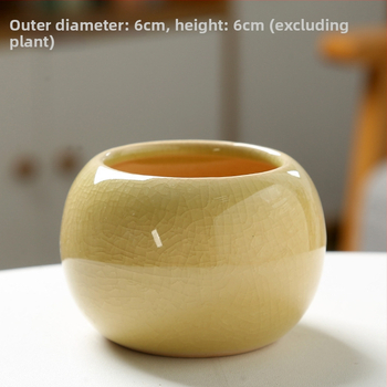 Keramický kvetináč na sukulenty, na podlahu, jednoduchý štýl, domáca záhrada