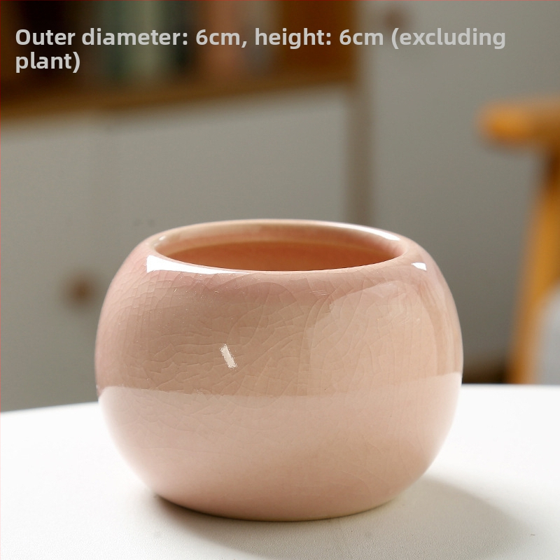 Keramický kvetináč na sukulenty, na podlahu, jednoduchý štýl, domáca záhrada