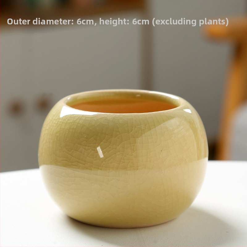 Keramický kvetináč na sukulenty, na podlahu, jednoduchý štýl, domáca záhrada