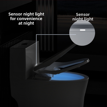 Inteligentná toaletná seda s bidetom — PP doska, RF001-ACMB, nastaviteľný tlak vody, teplota vody a teplý vzduch, samočistiaca tryska, EU 220V/US 110V kompatibilita