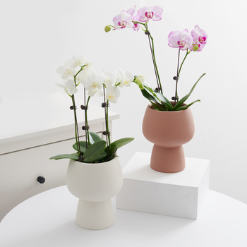 Keramický kvetináč na orchideu, na stolné použitie, štýl nordickej jednoduchej estetiky, glazovanie a maľovanie