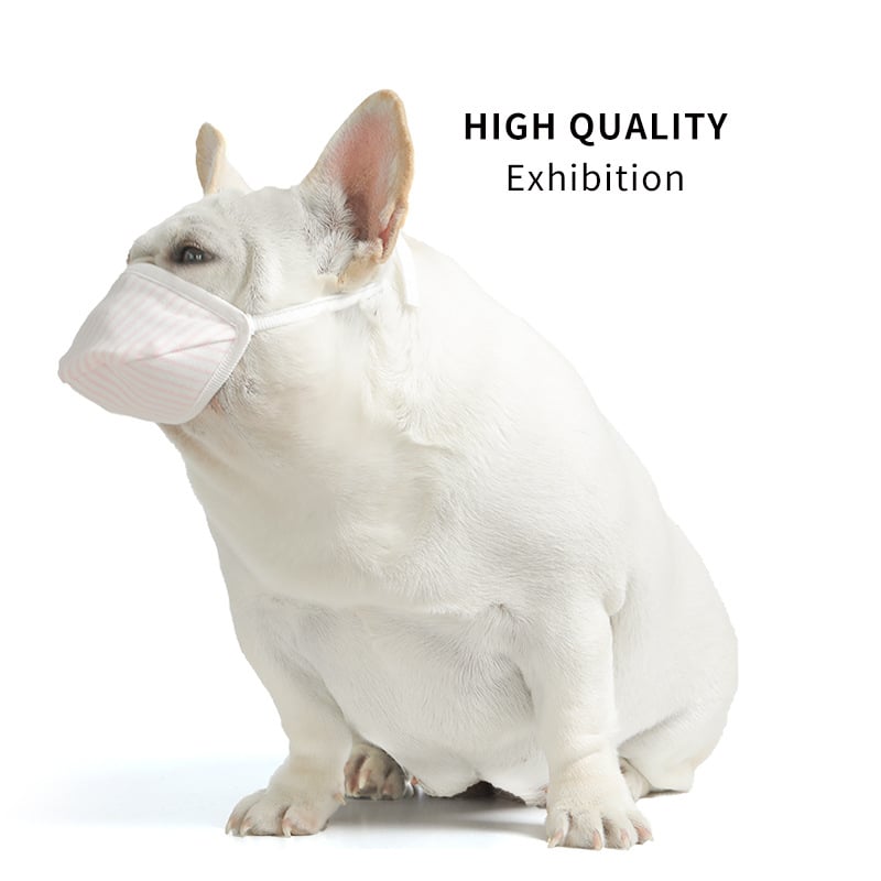 Psia maska s tromi vrstvami netkaného textilu, polyester, značka ibeans, balík 100 kusov