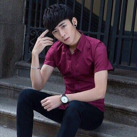 Meeste Slim-fit lühikeste varrukatega särk, reverikael, polüesteri segu, masinapesu, äristiil