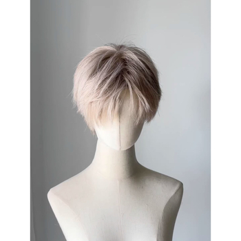 Kórejský štýl parochňa, tepelne odolný hodváb, unisex, plný set na hlavu, prirodzený vzhľad, na cosplay.