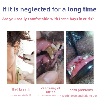 Zubná pasta pre psov – parodontálna starostlivosť, značka Cherry Fragrance, balenie 48 kusov.