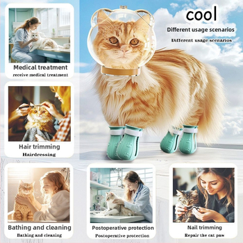 Priehľadný ochranný kryt hlavy pre mačku — proti uhryznutiu, poškriabaniu a bitkám; na kúpanie a strihanie nechtov; materiál: plast; značka Cute and Fun