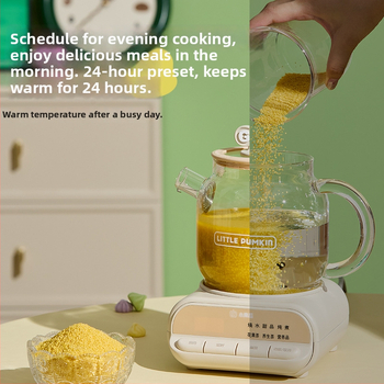 Zdravotný hrniec so skleneným telom z borosilikátového skla, objem 1 L, 220V 500W, digitálny termostat, ovládanie tlačidlom, model F1