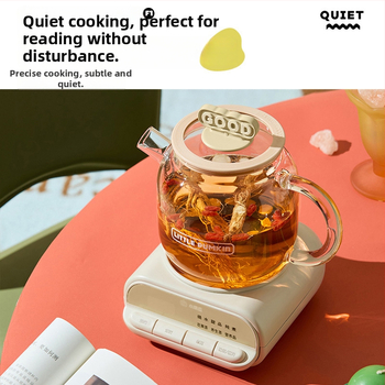 Zdravotný hrniec so skleneným telom z borosilikátového skla, objem 1 L, 220V 500W, digitálny termostat, ovládanie tlačidlom, model F1